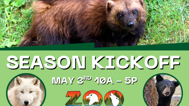 ZOO NEW YORK SEASON OPENER