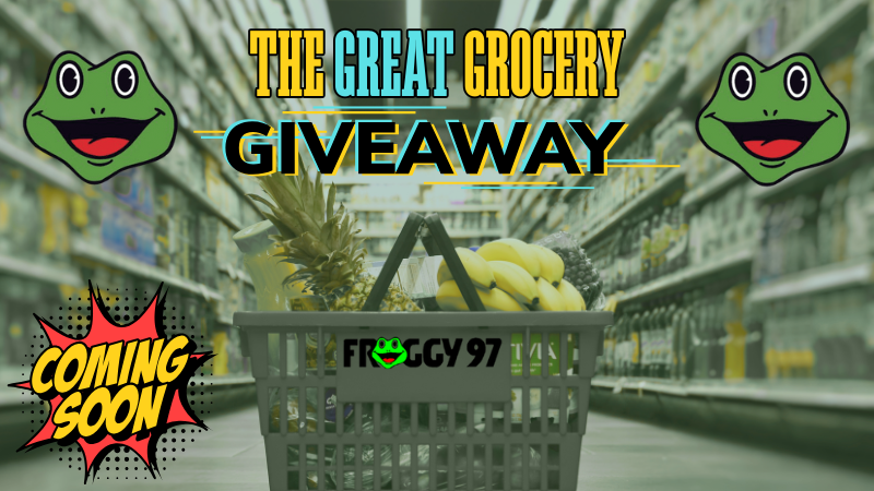 THE GREAT GROCERY GIVEAWAY