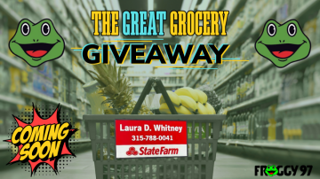 THE GREAT GROCERY GIVEAWAY